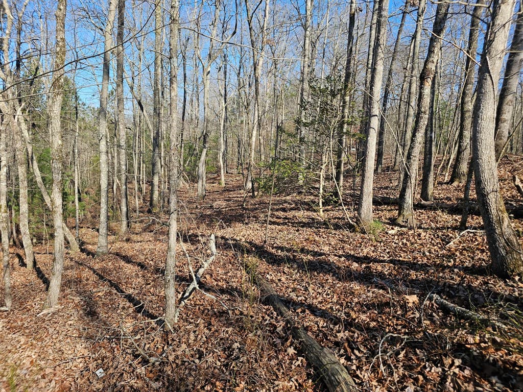 1.16 Marie Drive, Talking Rock GA 30175 - Photo