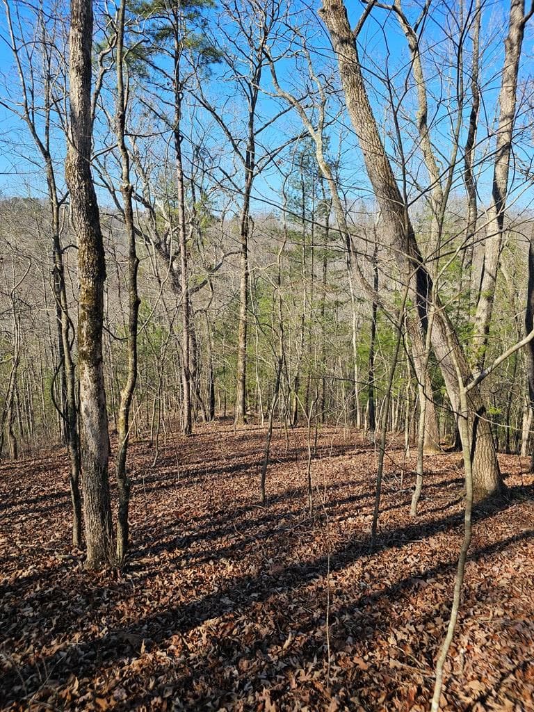 1.16 Marie Drive, Talking Rock GA 30175 - Photo