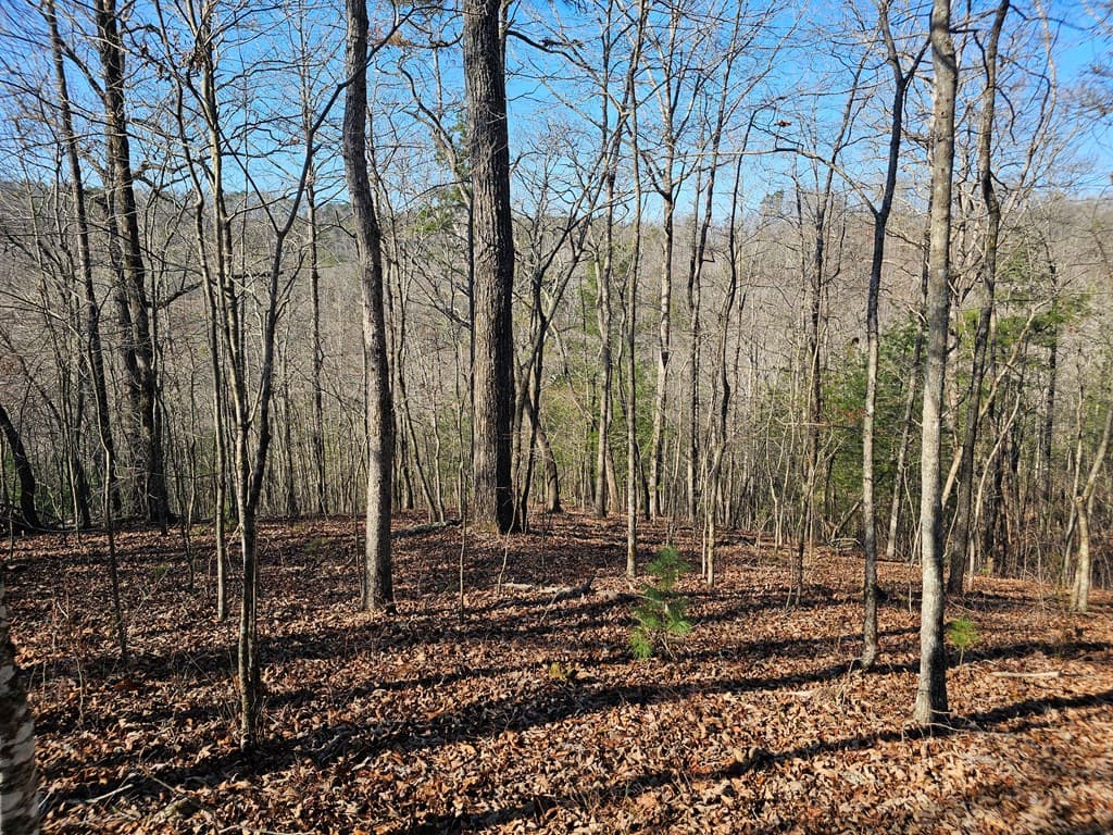 1.16 Marie Drive, Talking Rock GA 30175 - Photo