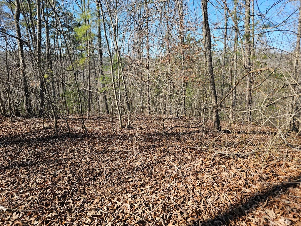 1.16 Marie Drive, Talking Rock GA 30175 - Photo