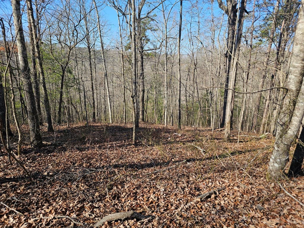 1.16 Marie Drive, Talking Rock GA 30175 - Photo