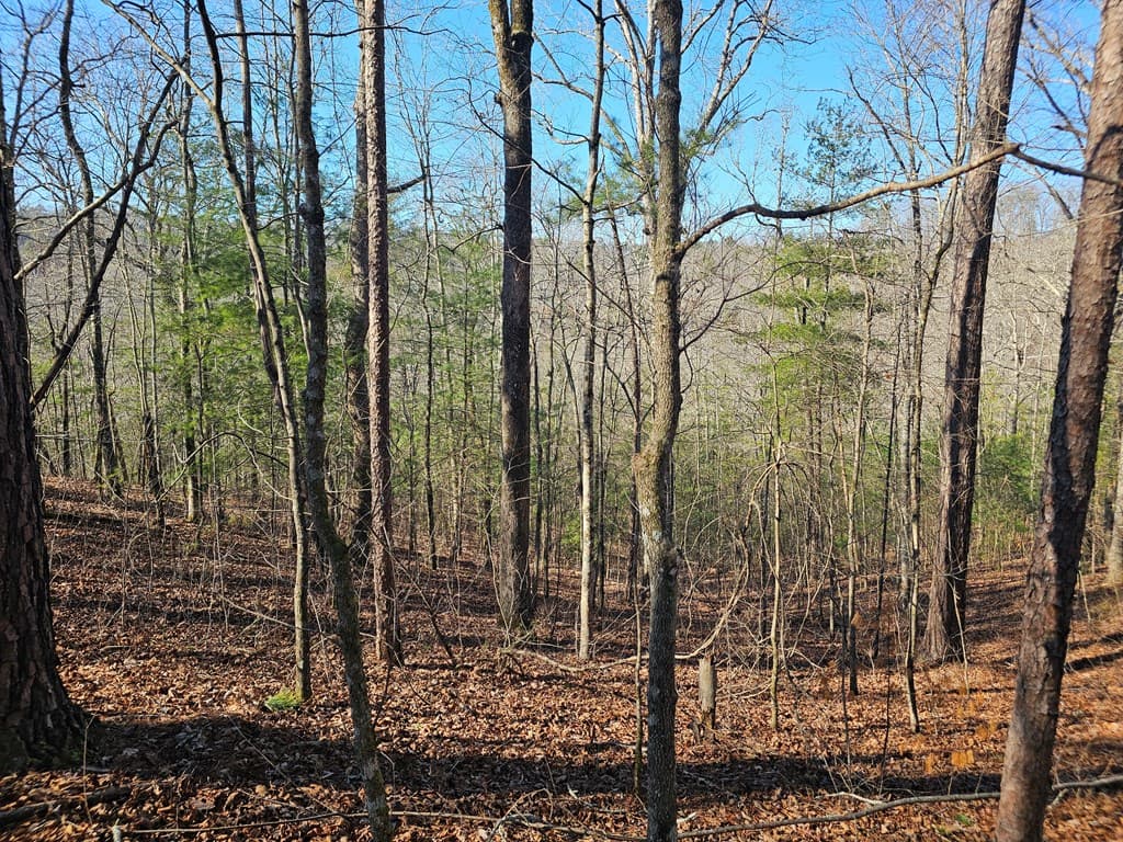1.16 Marie Drive, Talking Rock GA 30175 - Photo