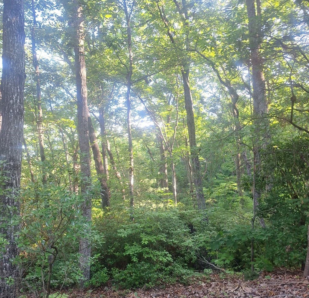 Lot 9 Cook Mountain Estate, Blairsville GA 30512 - Photo