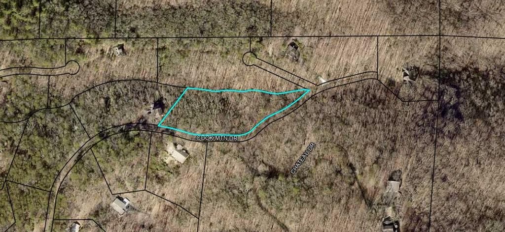 Lot 9 Cook Mountain Estate, Blairsville GA 30512 - Primary photo