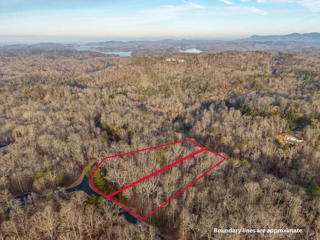 L156&157 Harris Creek Drive, Ellijay GA 30540 - Photo