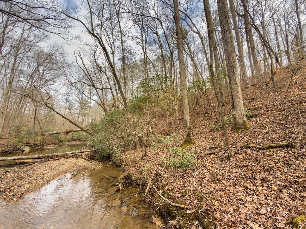 L156&157 Harris Creek Drive, Ellijay GA 30540 - Photo