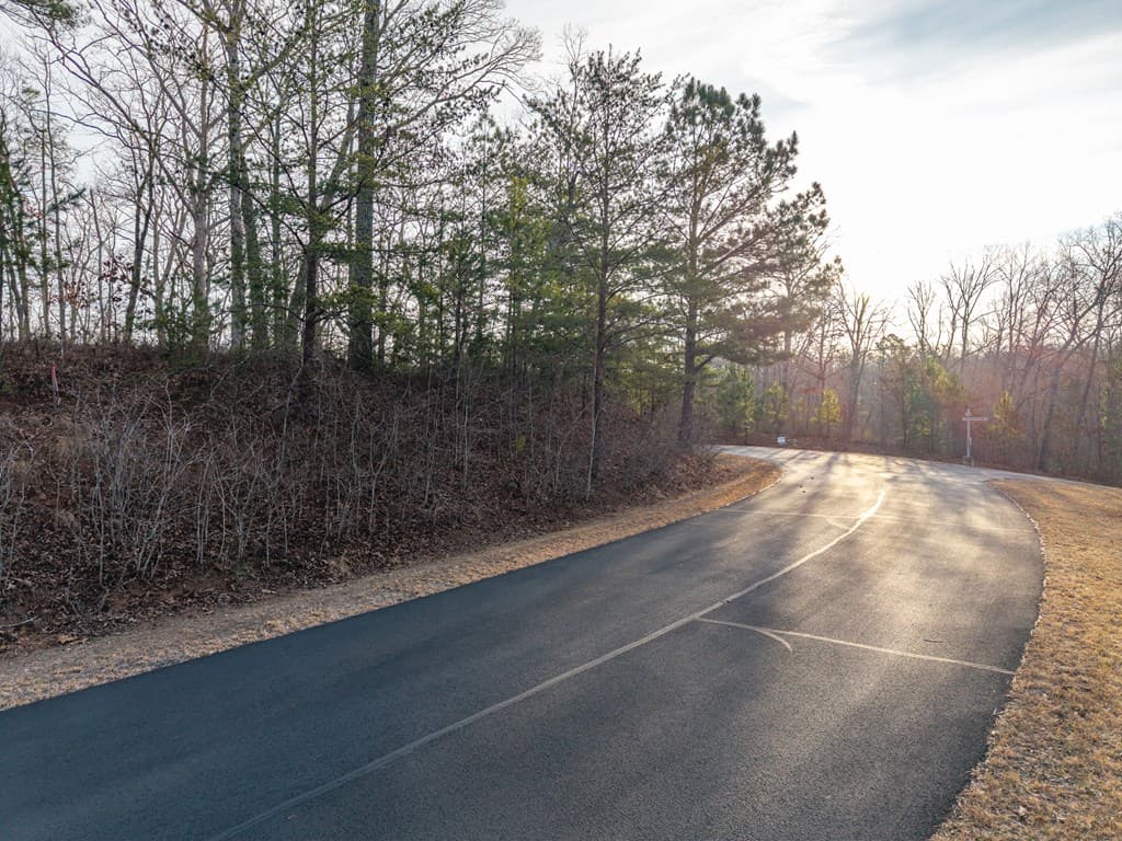 L156&157 Harris Creek Drive, Ellijay GA 30540 - Photo