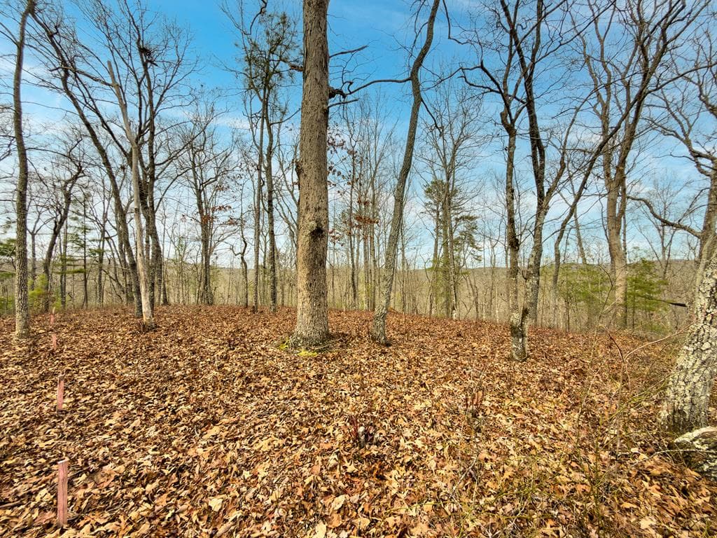 L156&157 Harris Creek Drive, Ellijay GA 30540 - Primary photo