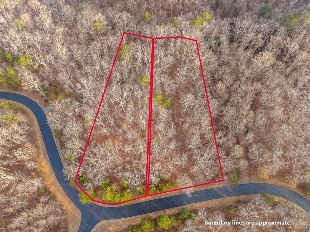L156&157 Harris Creek Drive, Ellijay GA 30540 - Photo