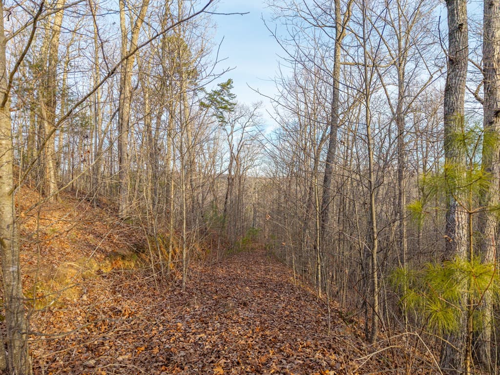 L156&157 Harris Creek Drive, Ellijay GA 30540 - Photo