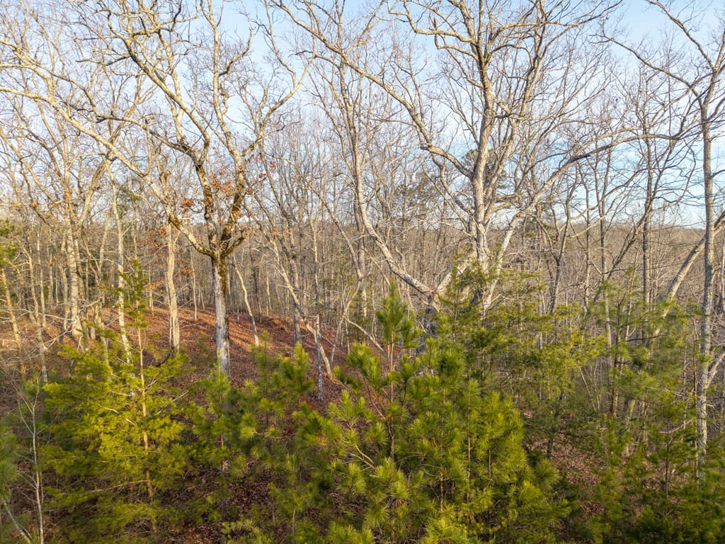 L156&157 Harris Creek Drive, Ellijay GA 30540 - Photo
