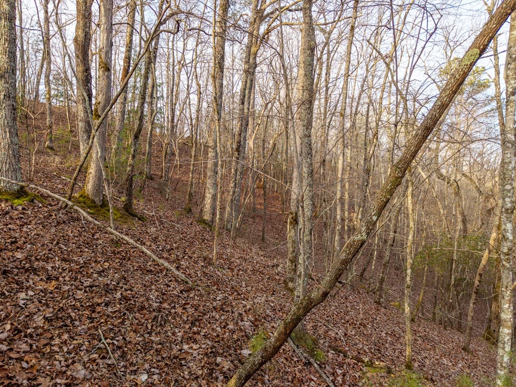 L156&157 Harris Creek Drive, Ellijay GA 30540 - Photo
