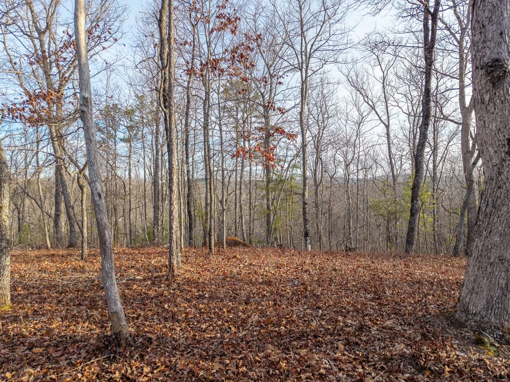 L156&157 Harris Creek Drive, Ellijay GA 30540 - Photo