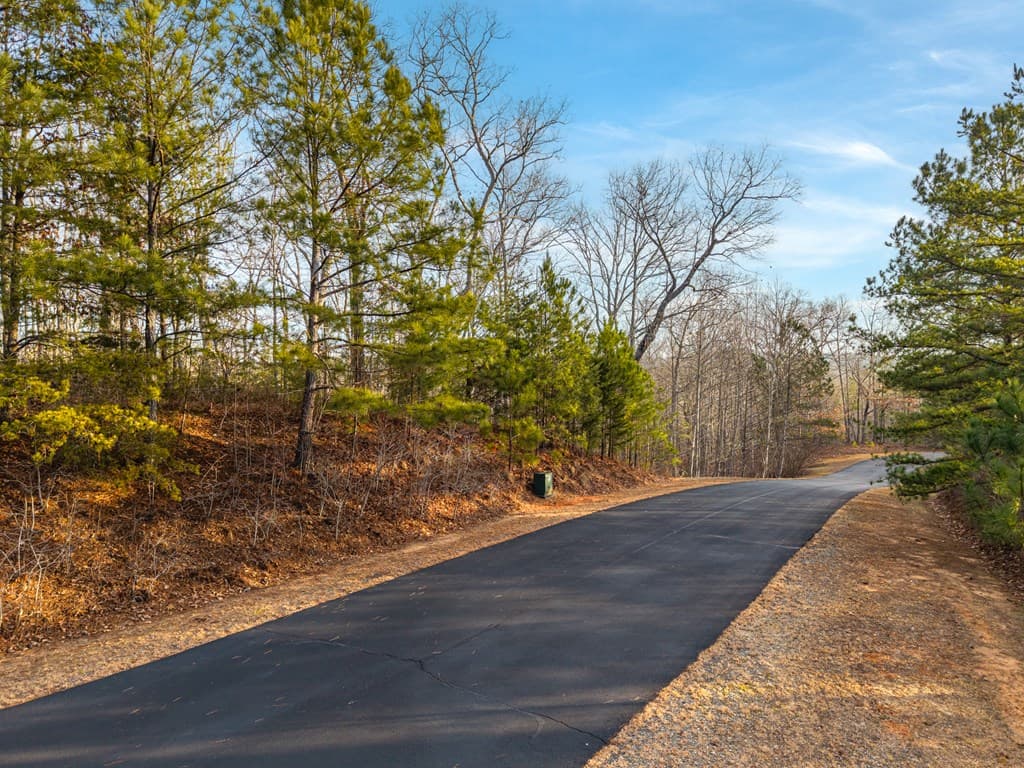 L156&157 Harris Creek Drive, Ellijay GA 30540 - Photo
