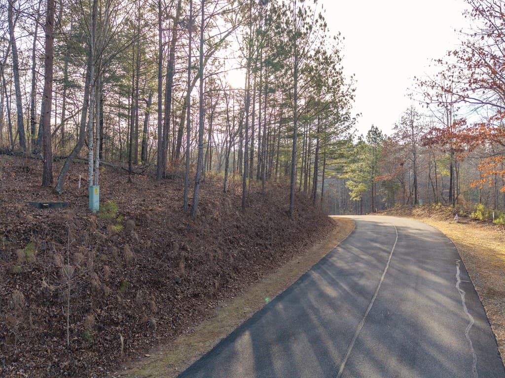 Lt 186 Harris Ridge Lane, Ellijay GA 30540 - Photo