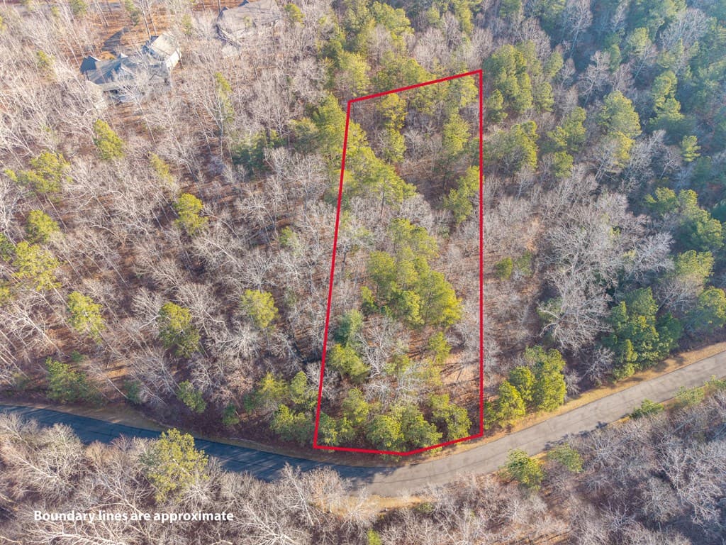 Lt 186 Harris Ridge Lane, Ellijay GA 30540 - Photo