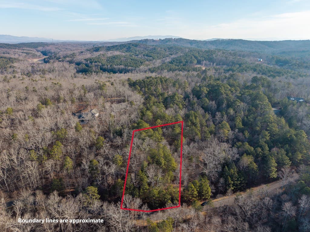 Lt 186 Harris Ridge Lane, Ellijay GA 30540 - Photo