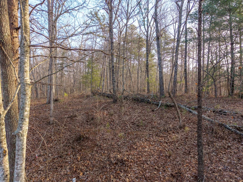 Lt 186 Harris Ridge Lane, Ellijay GA 30540 - Photo