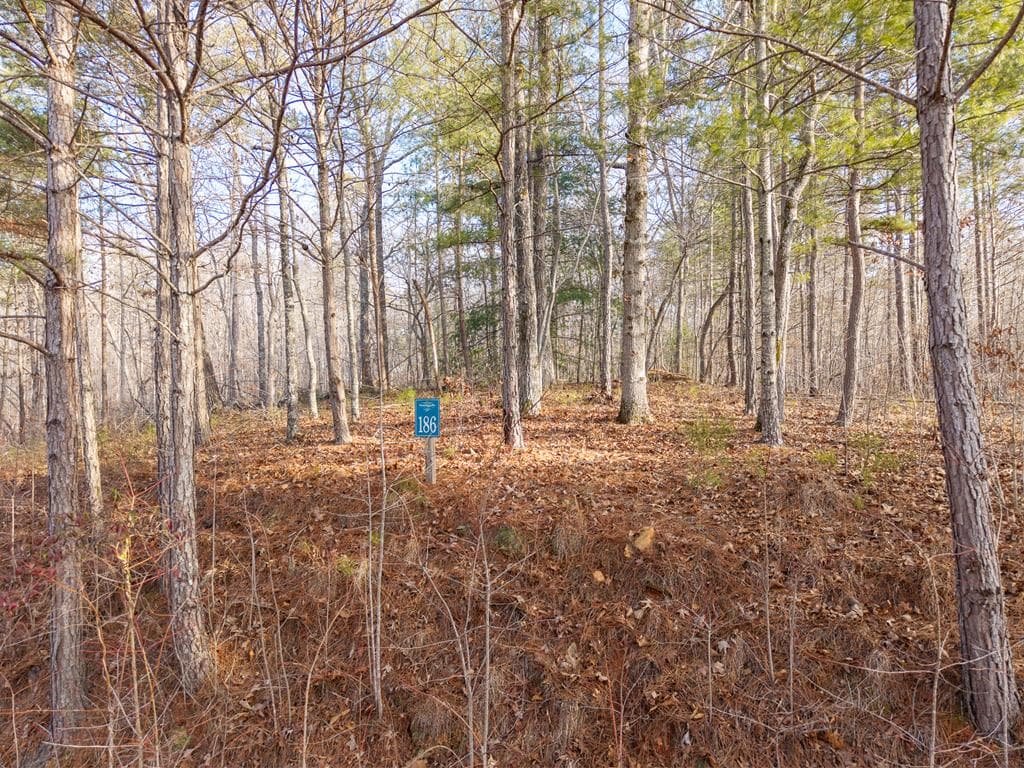 Lt 186 Harris Ridge Lane, Ellijay GA 30540 - Primary photo