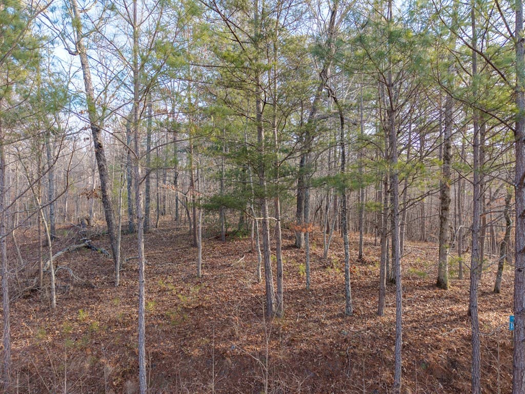 Lt 186 Harris Ridge Lane, Ellijay GA 30540 - Photo