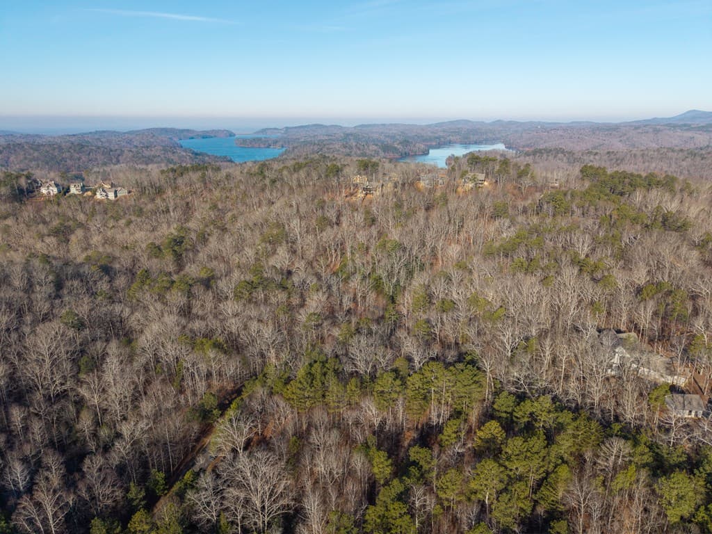 Lt 186 Harris Ridge Lane, Ellijay GA 30540 - Photo