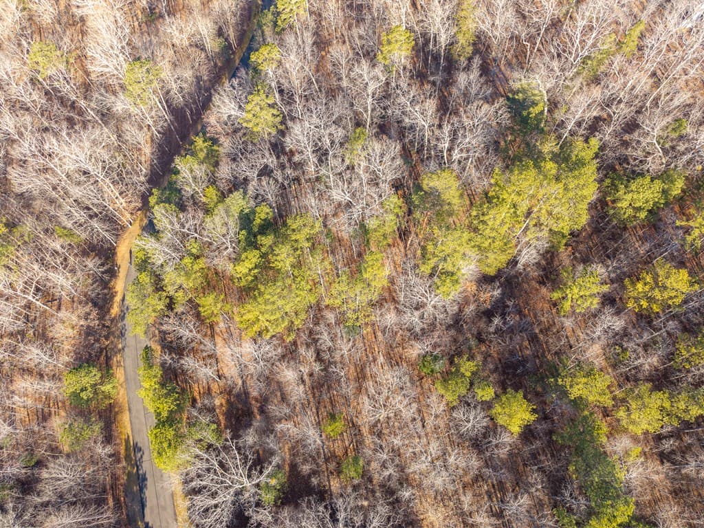 Lt 186 Harris Ridge Lane, Ellijay GA 30540 - Photo