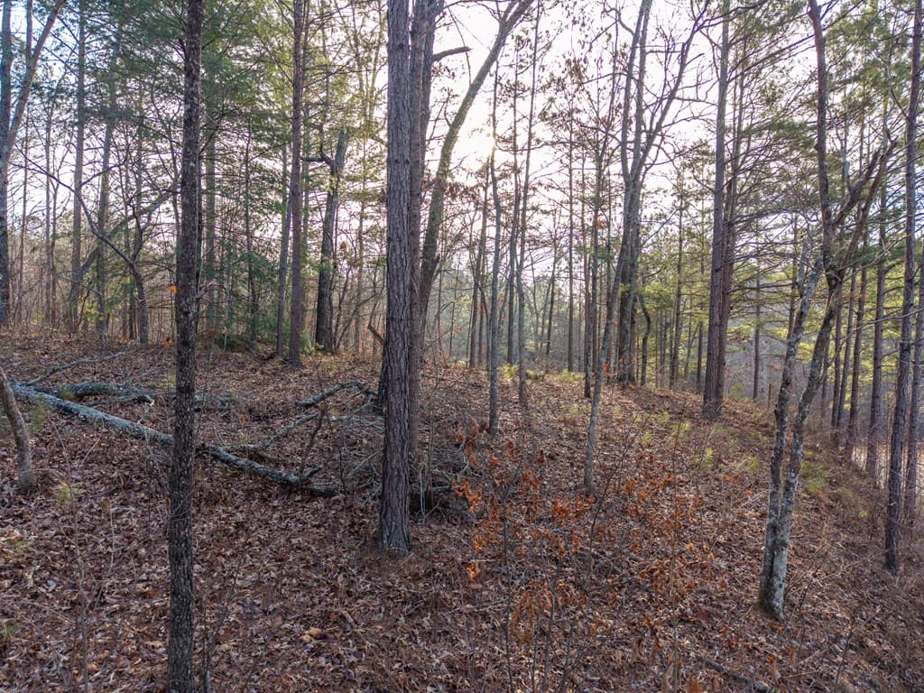 Lt 186 Harris Ridge Lane, Ellijay GA 30540 - Photo