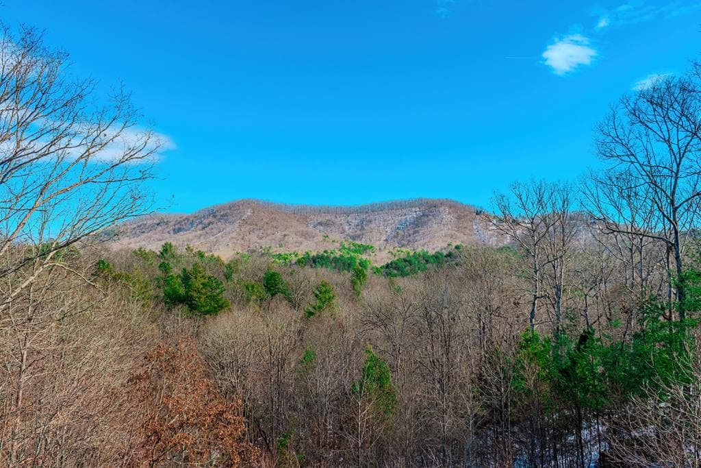 1023 Knollwood Road, Mineral Bluff GA 30559 - Photo