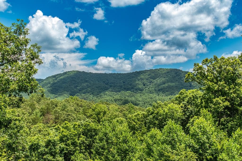 1023 Knollwood Road, Mineral Bluff GA 30559 - Photo