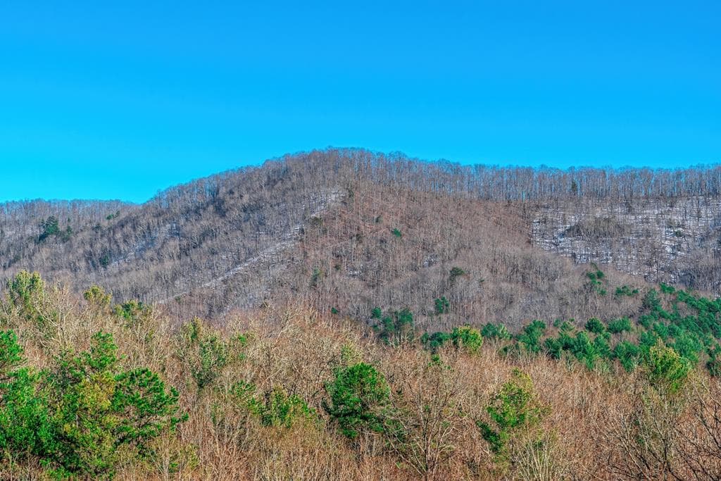 1023 Knollwood Road, Mineral Bluff GA 30559 - Photo