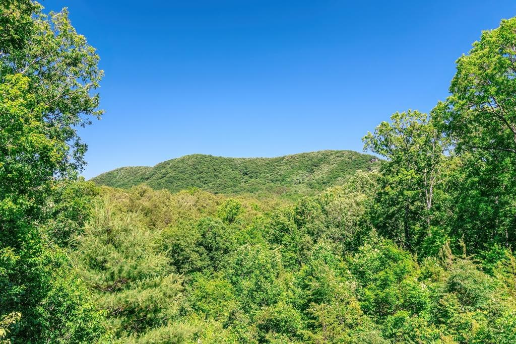 1023 Knollwood Road, Mineral Bluff GA 30559 - Photo
