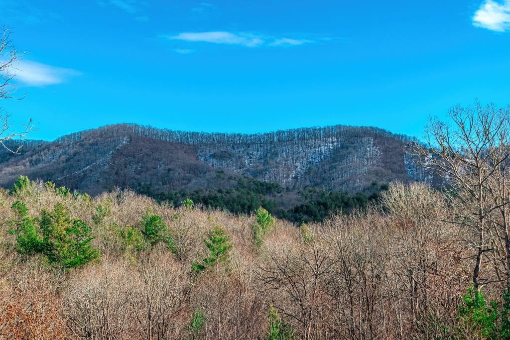1023 Knollwood Road, Mineral Bluff GA 30559 - Photo