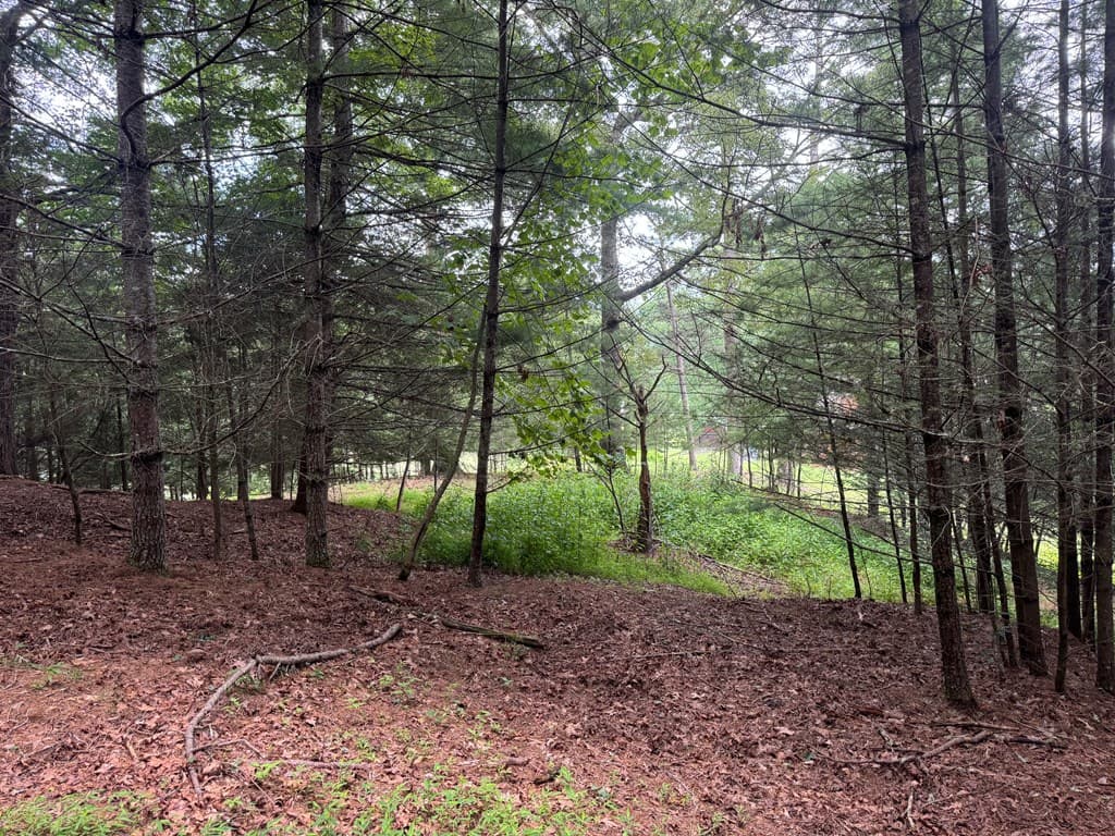 Lot 61 White Pine Trail, Suches GA 30572 - Photo