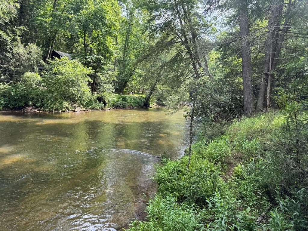 Lot 61 White Pine Trail, Suches GA 30572 - Photo
