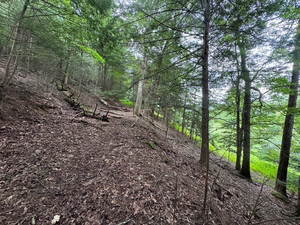 Lot 61 White Pine Trail, Suches GA 30572 - Photo