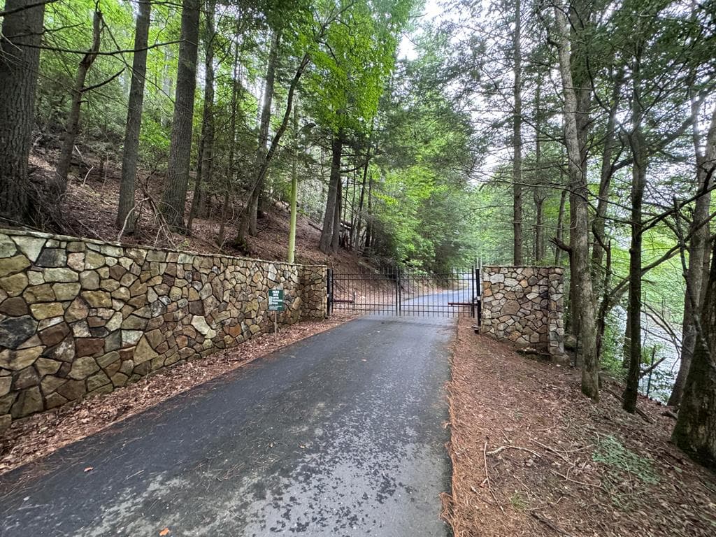 Lot 61 White Pine Trail, Suches GA 30572 - Photo