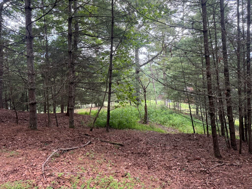 Lot 61 White Pine Trail, Suches GA 30572 - Photo