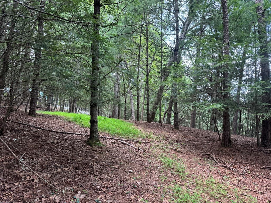 Lot 61 White Pine Trail, Suches GA 30572 - Photo