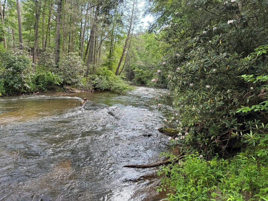 Lot 61 White Pine Trail, Suches GA 30572 - Primary photo