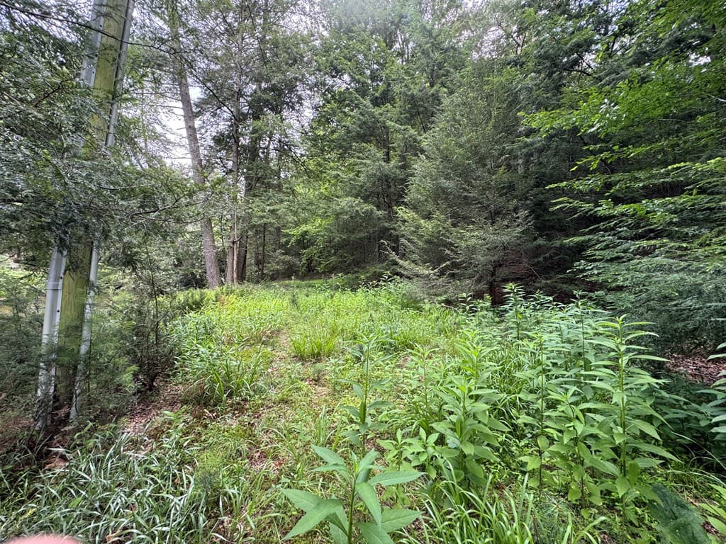 Lot 61 White Pine Trail, Suches GA 30572 - Photo