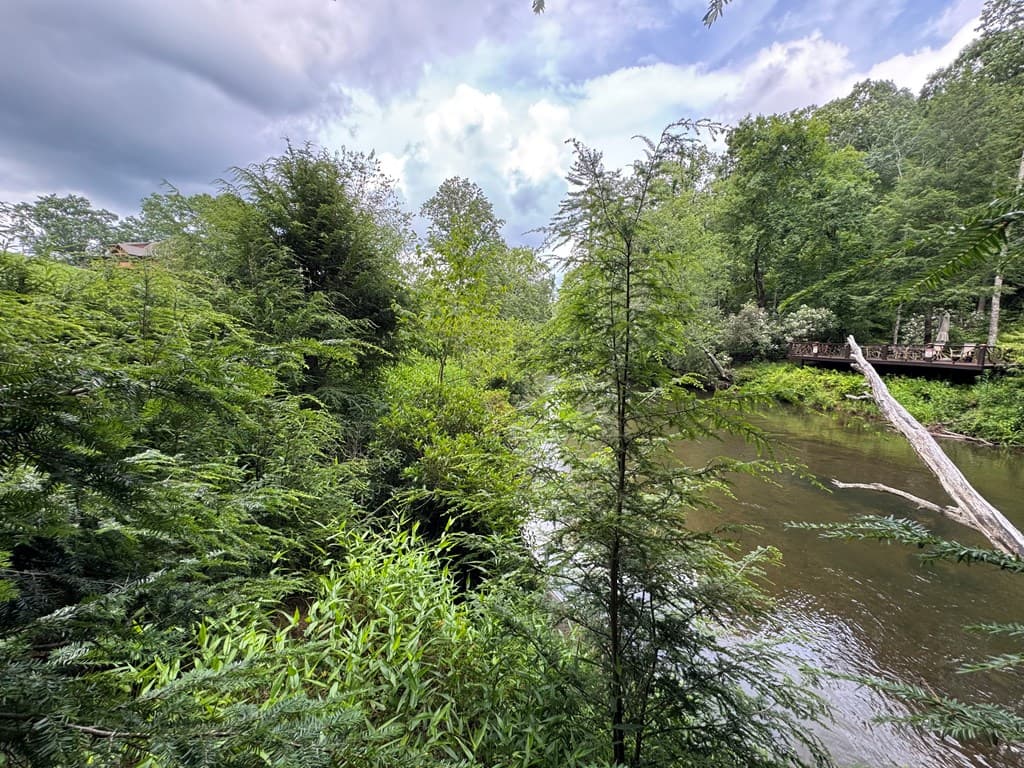 Lot 61 White Pine Trail, Suches GA 30572 - Photo
