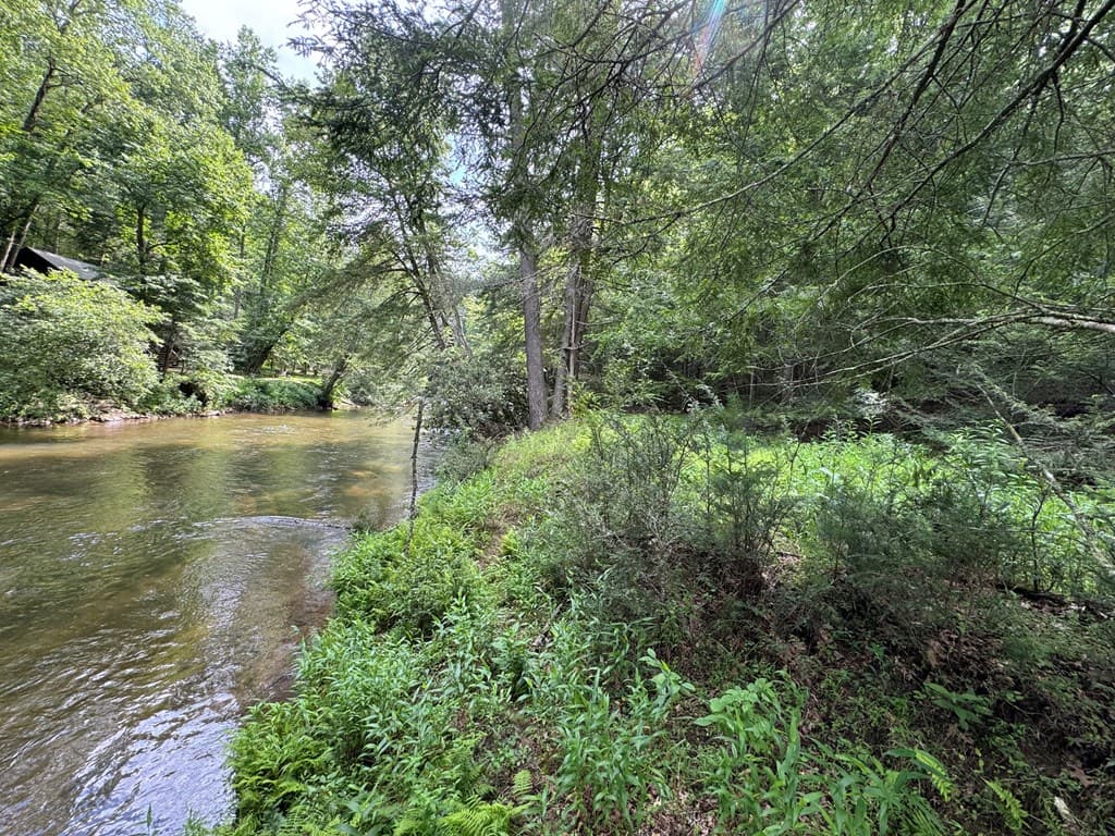 Lot 61 White Pine Trail, Suches GA 30572 - Photo