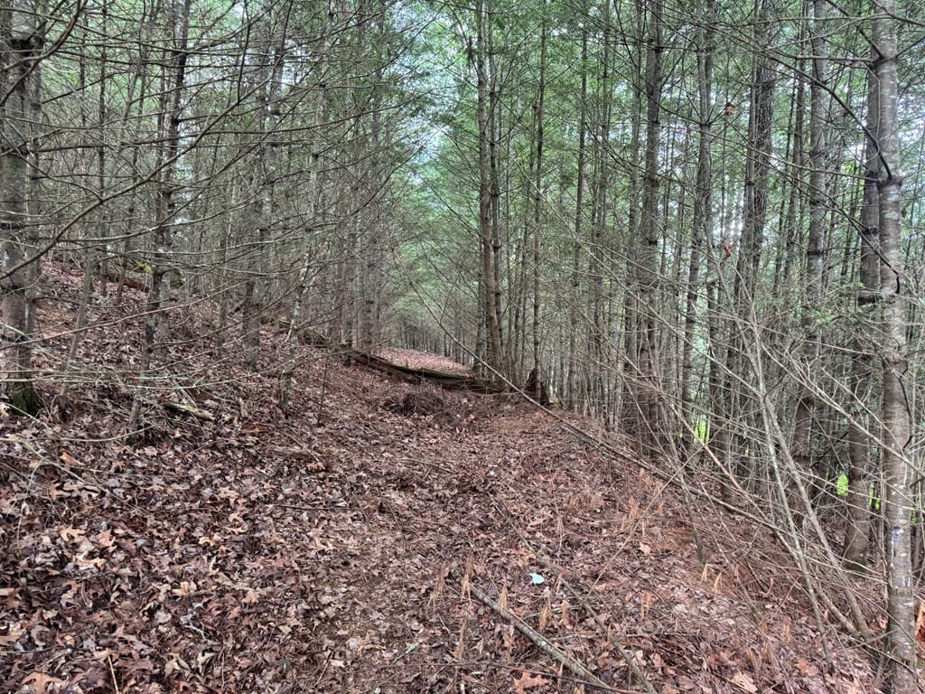 Lot 61 White Pine Trail, Suches GA 30572 - Photo