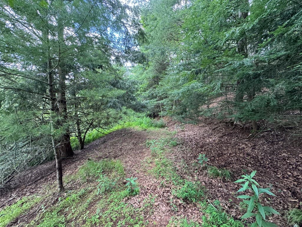 Lot 61 White Pine Trail, Suches GA 30572 - Photo