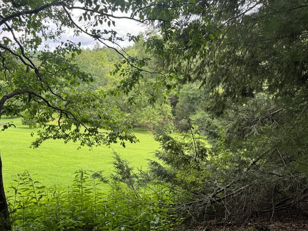 Lot 61 White Pine Trail, Suches GA 30572 - Photo