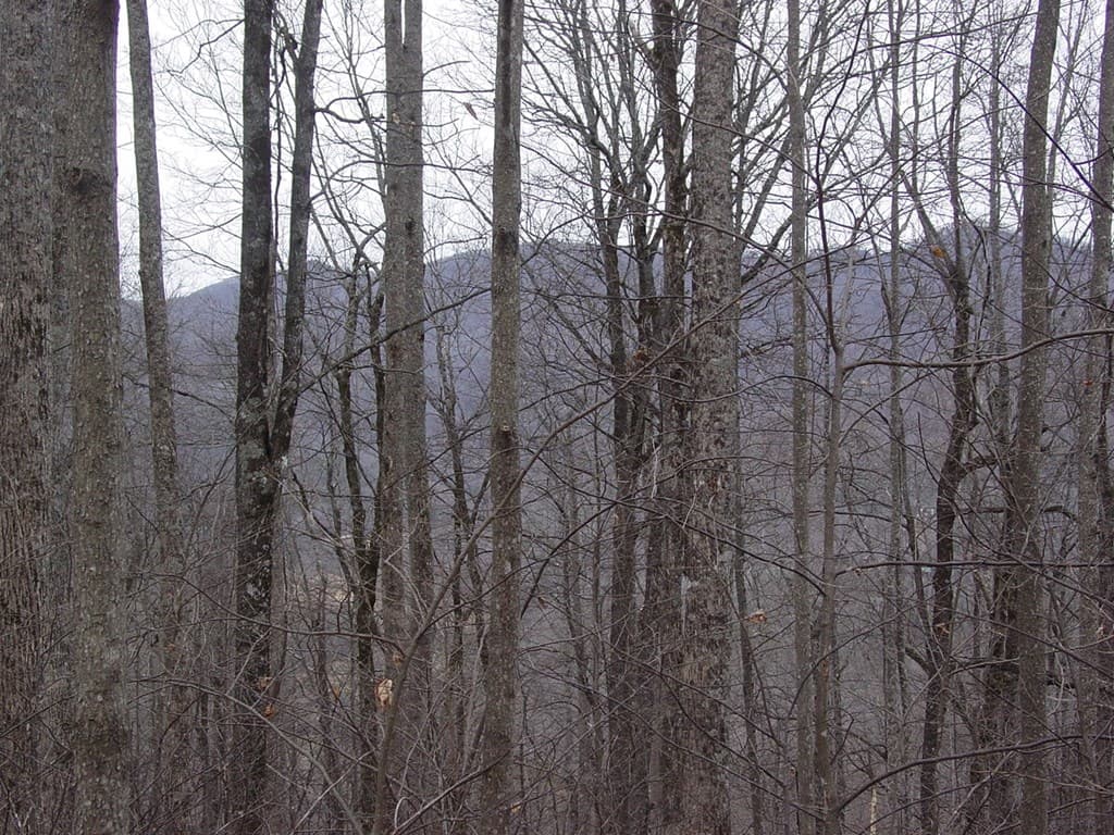 #17 Roaring Ridge, Hiawassee GA 30546 - Photo