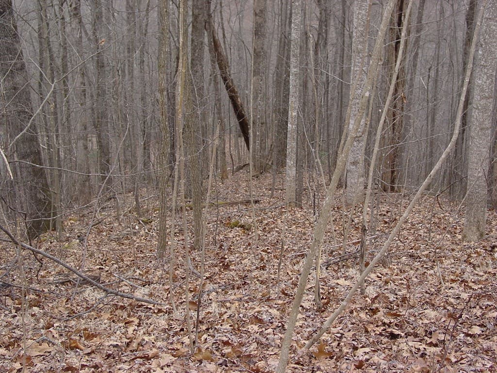 #16 Roaring Ridge, Hiawassee GA 30546 - Photo