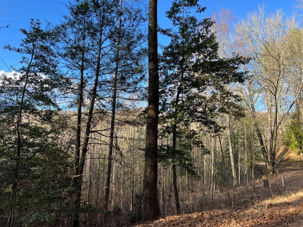 Lot 45 Tusquittee Crossing, Hayesville NC 28904 - Photo