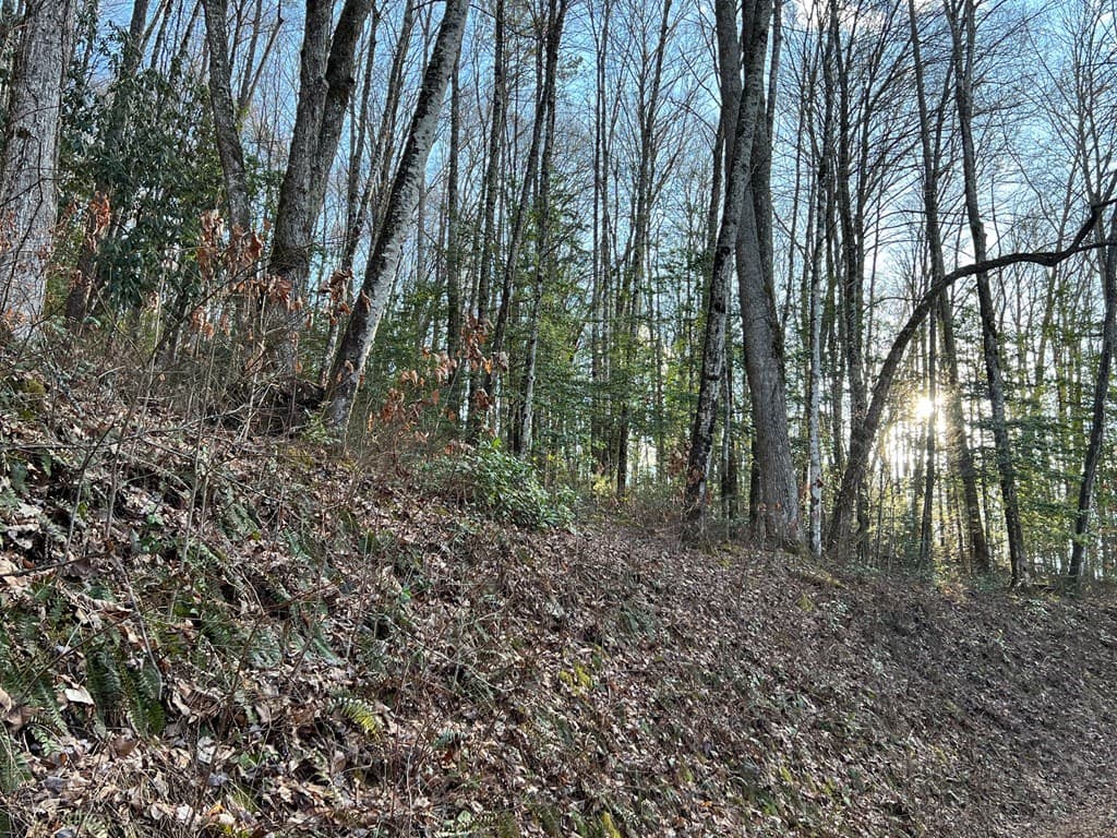 Lot 45 Tusquittee Crossing, Hayesville NC 28904 - Photo