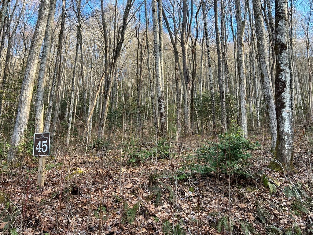 Lot 45 Tusquittee Crossing, Hayesville NC 28904 - Photo